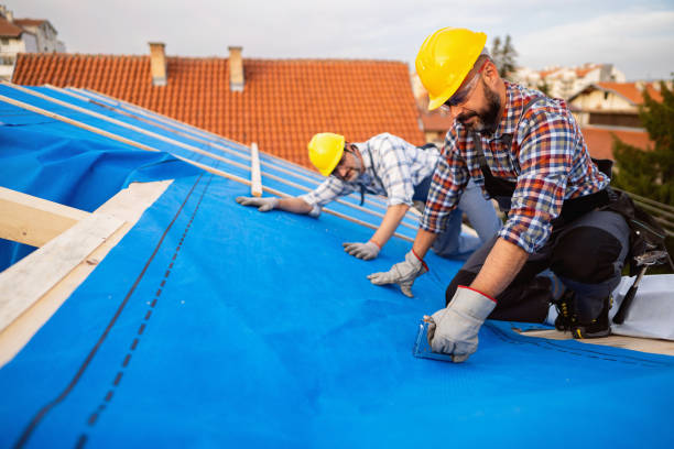 Best Commercial Roofing Services  in Sandpoint, ID